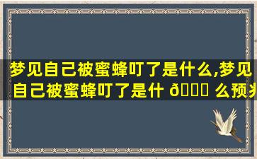 梦见自己被蜜蜂叮了是什么,梦见自己被蜜蜂叮了是什 🐘 么预兆